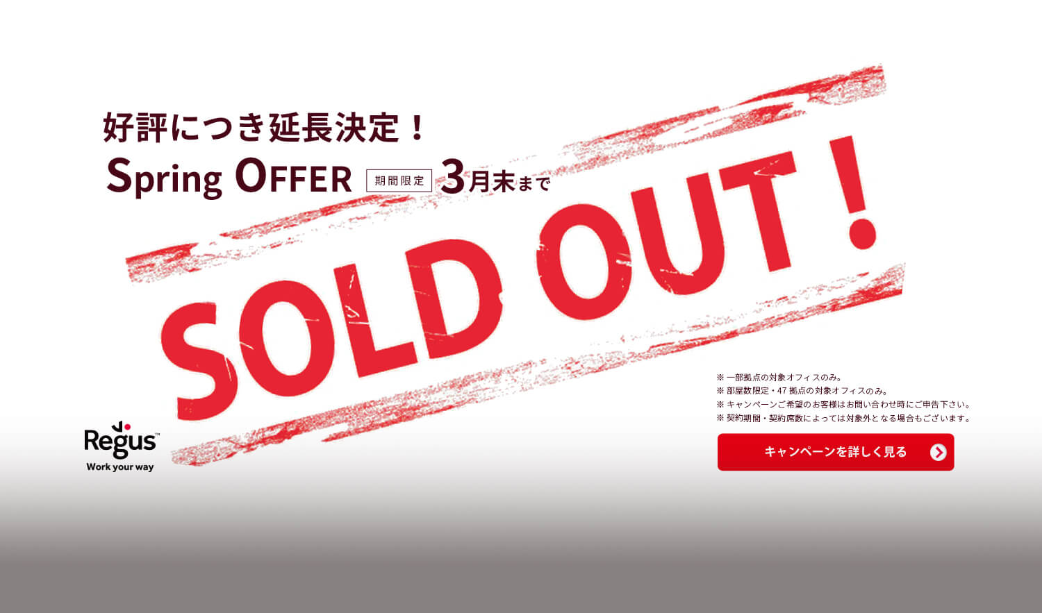 好評につき延長決定！SPRING OFFER 3月末まで
