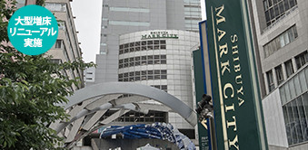 リージャス 渋谷マークシティビジネスセンター